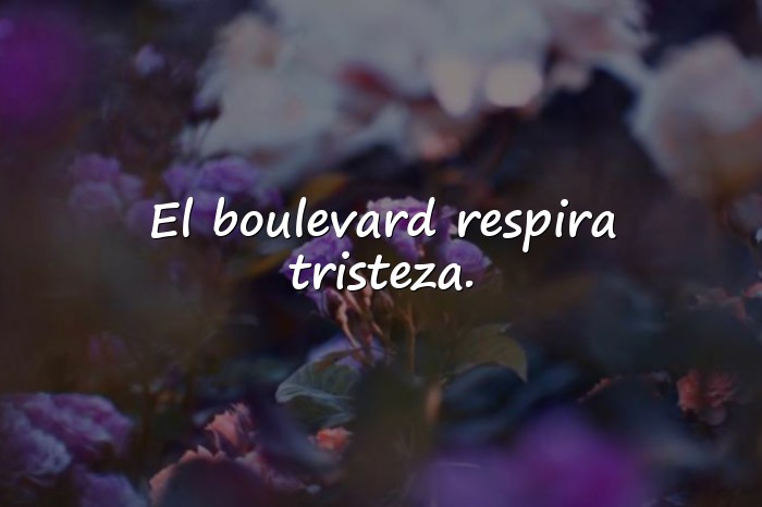 Imágenes Frases de Boulevard - 6
