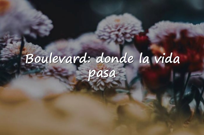Imágenes Frases de Boulevard - 1