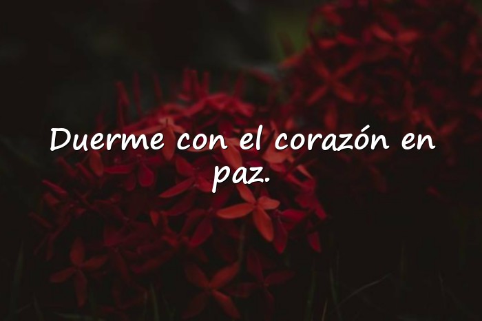 Imágenes frases de buenas noches positivas - 19