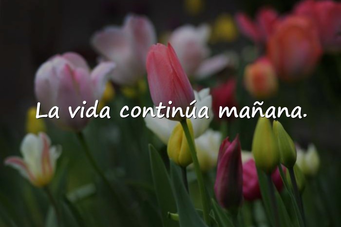 Imágenes frases de buenas noches positivas - 15
