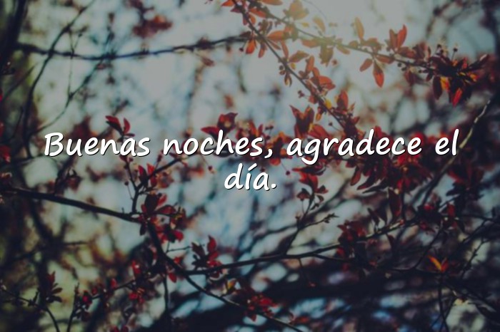 Imágenes frases de buenas noches positivas - 6