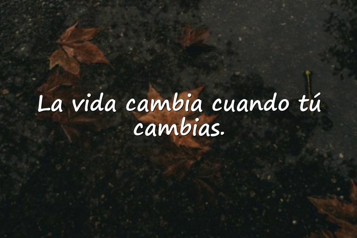 Imágenes frases de buenos días para reflexionar - 13