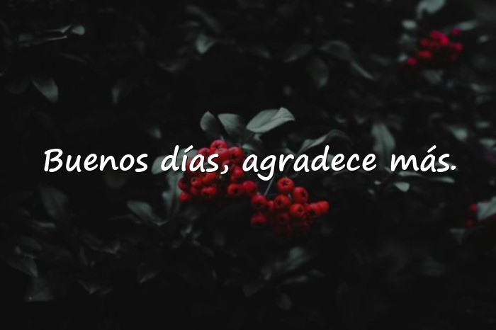 Imágenes frases de buenos días para reflexionar - 8
