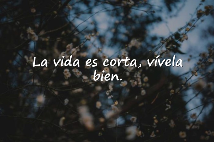 Imágenes frases de buenos días para reflexionar - 5