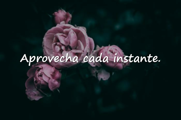 Imágenes frases de buenos días para reflexionar - 25