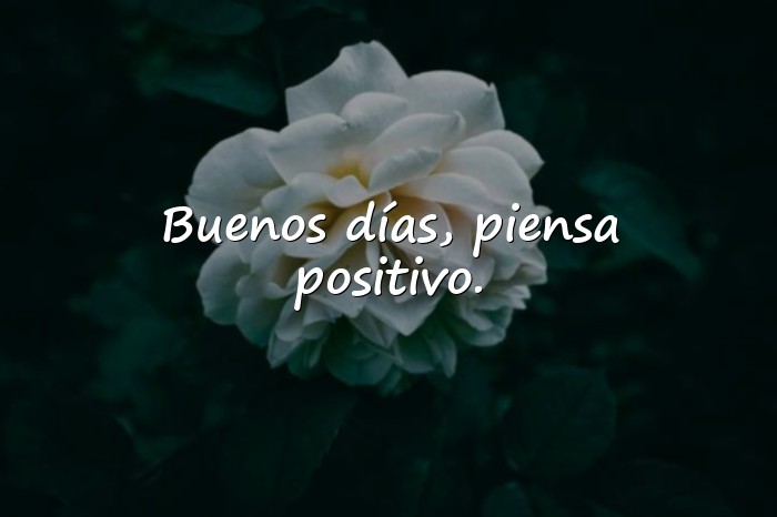 Imágenes frases de buenos días para reflexionar - 21