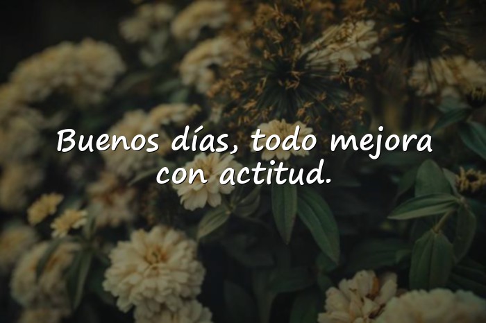 Imágenes frases de buenos días para reflexionar - 14