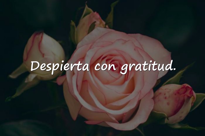 Imágenes frases de buenos días para reflexionar - 9