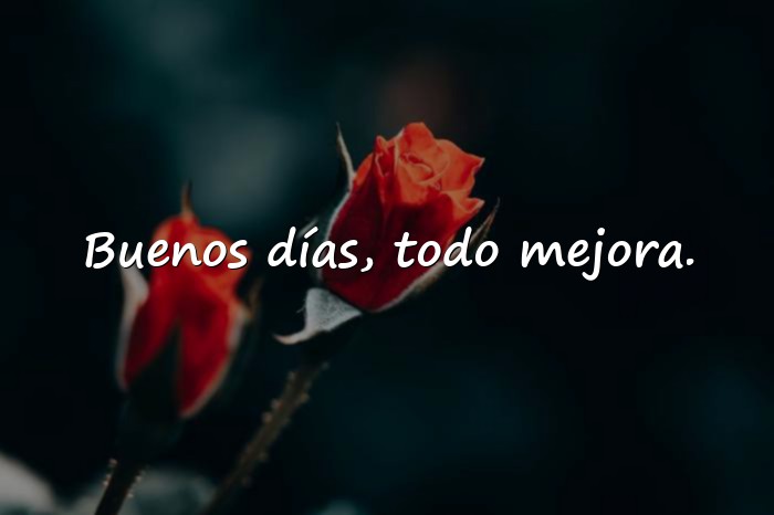 Imágenes frases de buenos dias bonitas - 11