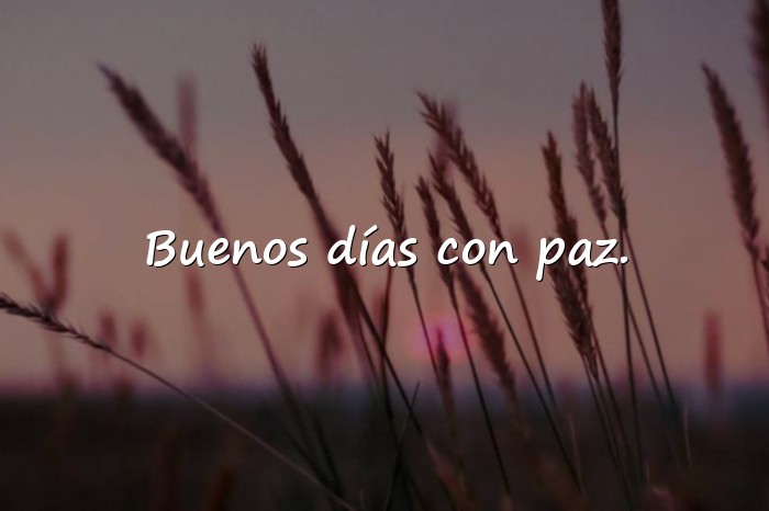 Imágenes frases de buenos dias bonitas - 20