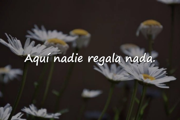 Imágenes frases de calle - 12