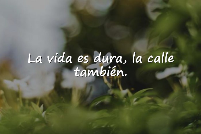 Imágenes frases de calle - 9