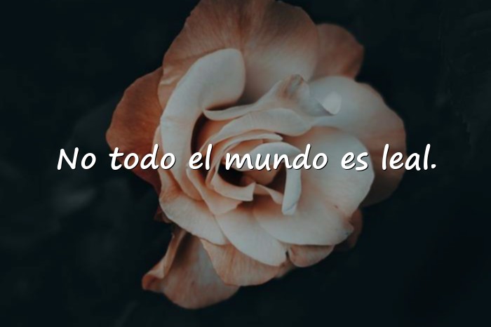 Imágenes frases de calle - 4
