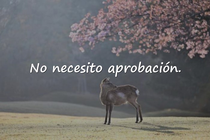 Imágenes frases de calle - 25