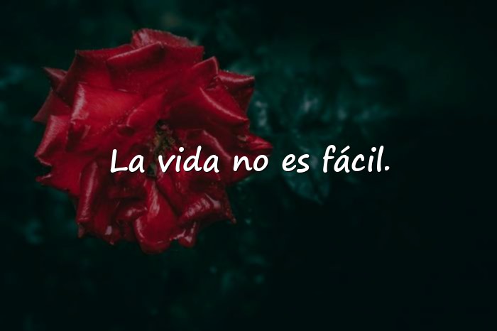 Imágenes frases de calle - 21