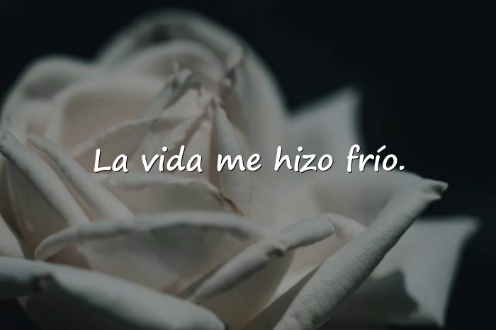 Imágenes frases de calle - 13