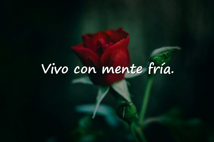 Imágenes frases de calle - 9