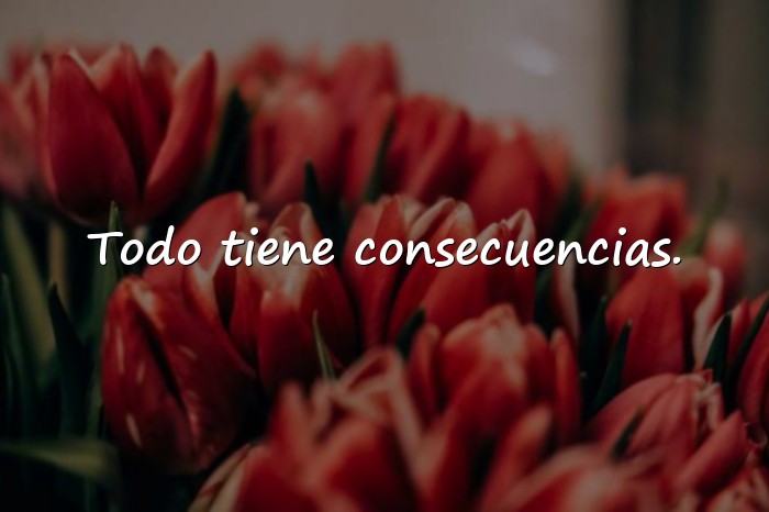 Imágenes frases de calle - 5