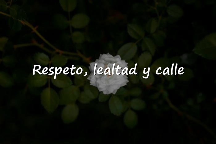 Imágenes frases de calle - 1