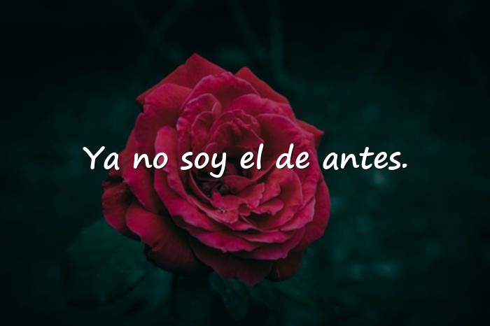 Imágenes frases de canciones - 13
