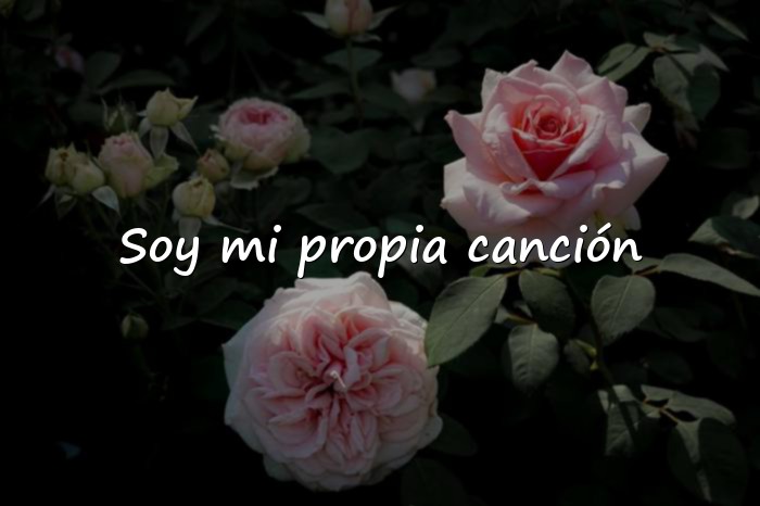 Imágenes frases de canciones - 1
