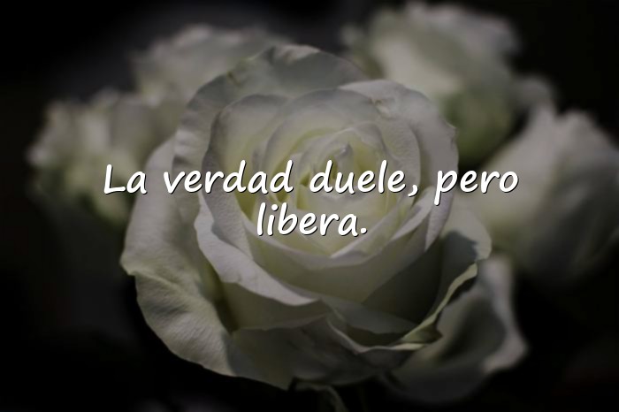 Imágenes frases de canserbero - 11