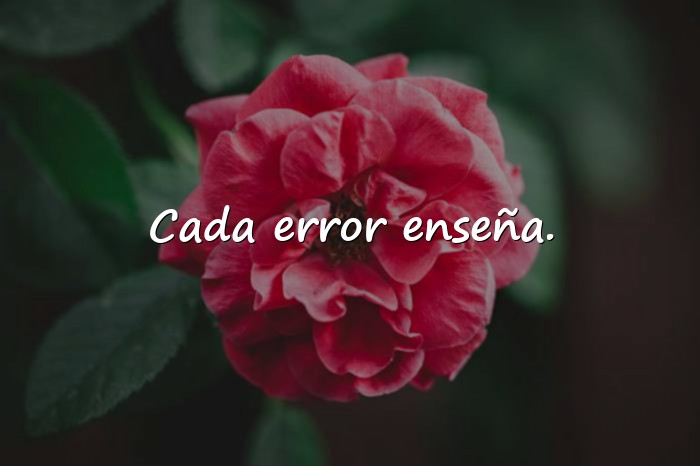 Imágenes frases de canserbero - 4