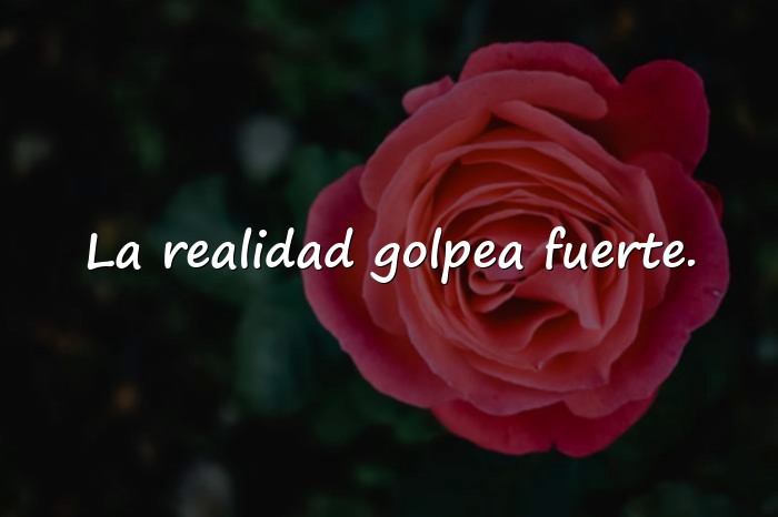 Imágenes frases de canserbero - 25