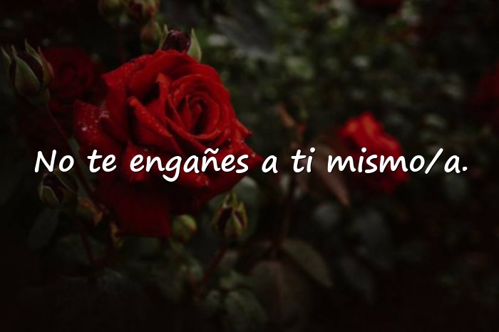 Imágenes frases de canserbero - 16