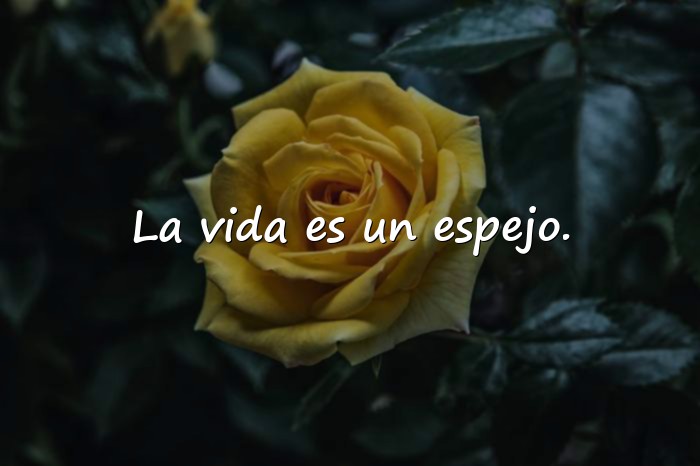 Imágenes frases de canserbero - 6