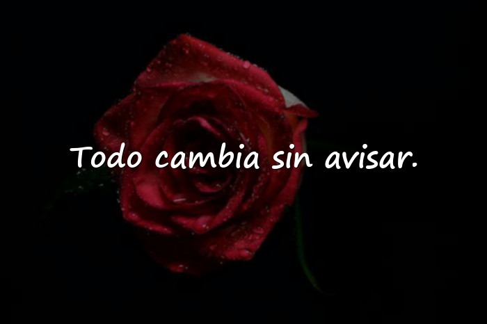 Imágenes frases de canserbero - 2