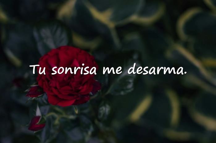 Imágenes frases de conquista - 2