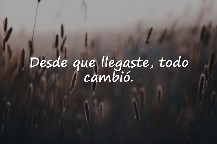 Imágenes frases de conquista - 24