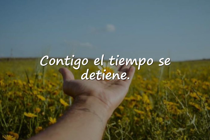 Imágenes frases de conquista - 21