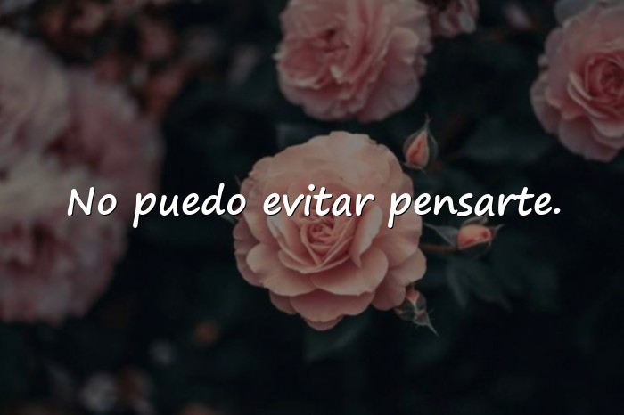 Imágenes frases de conquista - 17