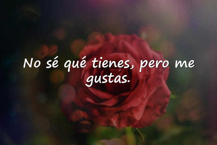 Imágenes frases de conquista - 5