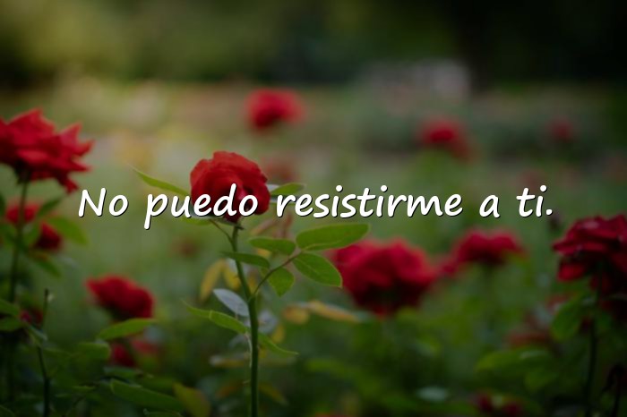Imágenes frases de conquista - 1