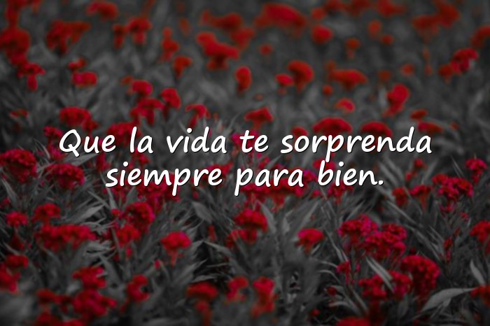 Imágenes frases de cumpleaños - 4