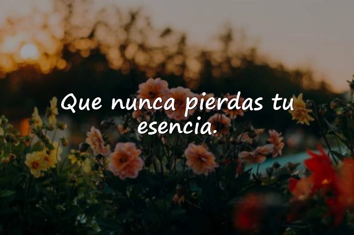 Imágenes frases de cumpleaños - 19
