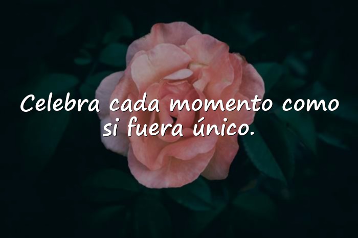 Imágenes frases de cumpleaños - 15