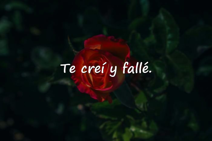 Imágenes frases de decepcion - 10
