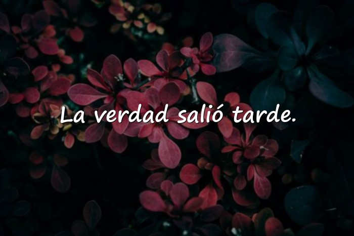 Imágenes frases de decepcion - 19