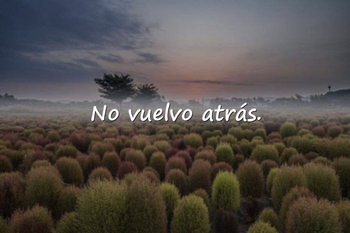 Imágenes frases de decepcion - 10