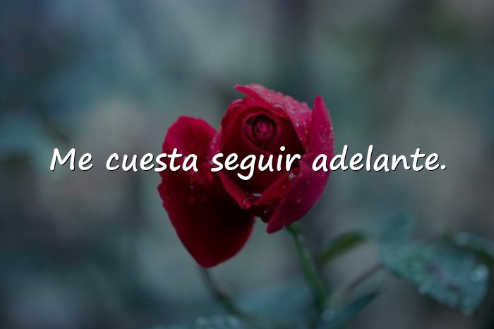 Imágenes frases de depresión - 11