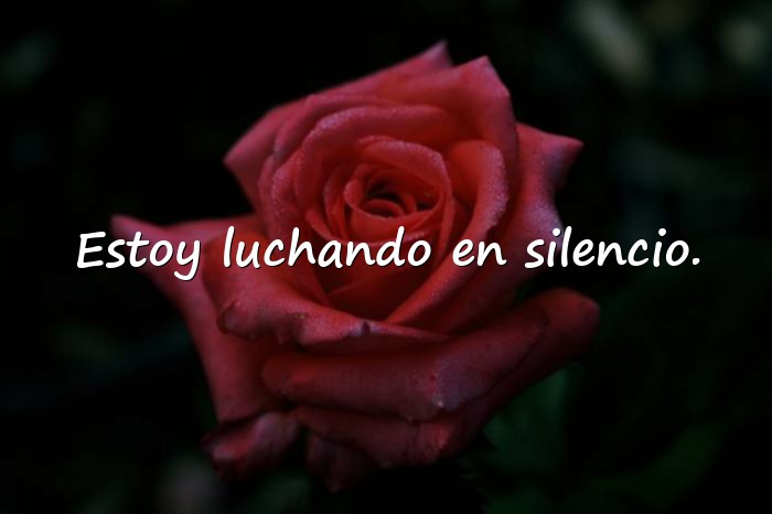Imágenes frases de depresión - 6