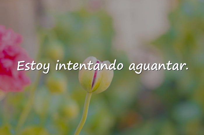 Imágenes frases de depresión - 16