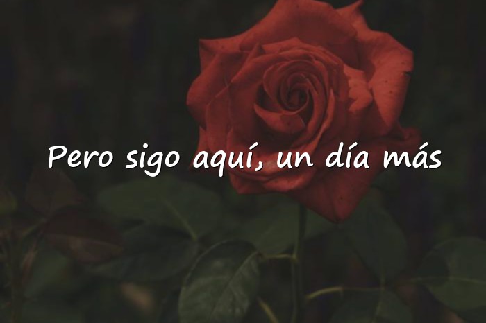 Imágenes frases de depresión - 1