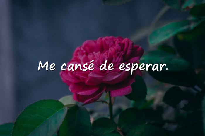 Imágenes frases de desilucion - 10