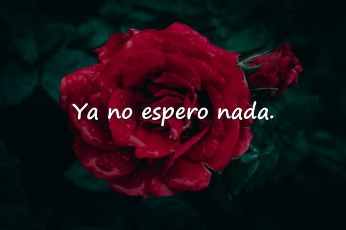 Imágenes frases de desilucion - 5