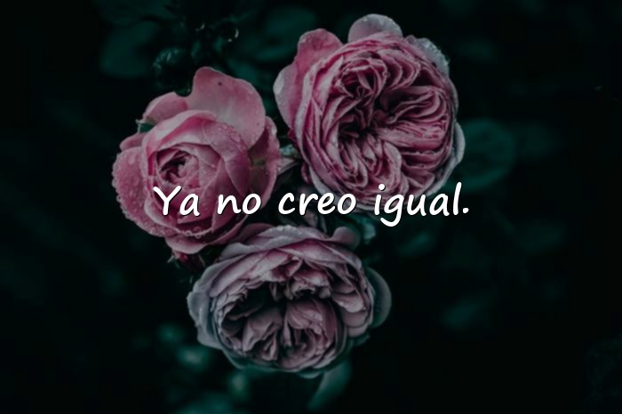 Imágenes frases de desilucion - 16